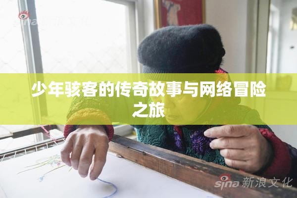 少年骇客的传奇故事与网络冒险之旅