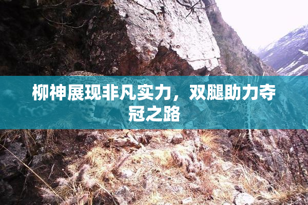 柳神展现非凡实力，双腿助力夺冠之路