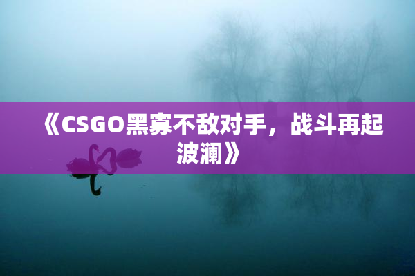 《CSGO黑寡不敌对手，战斗再起波澜》