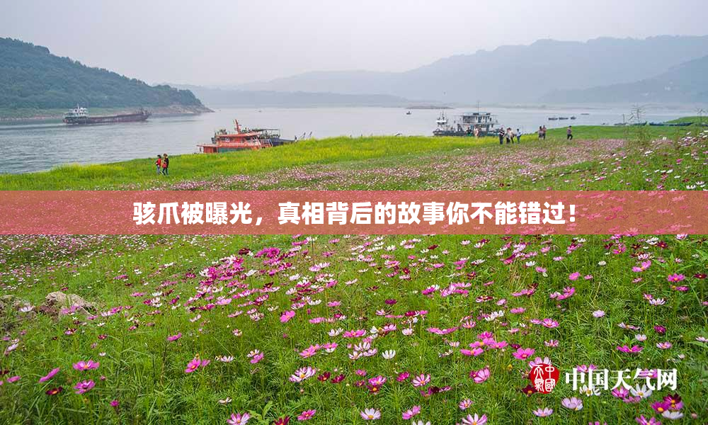 骇爪被曝光，真相背后的故事你不能错过！