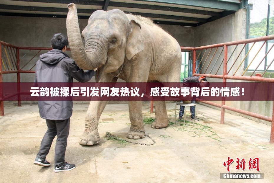 云韵被揉后引发网友热议，感受故事背后的情感！
