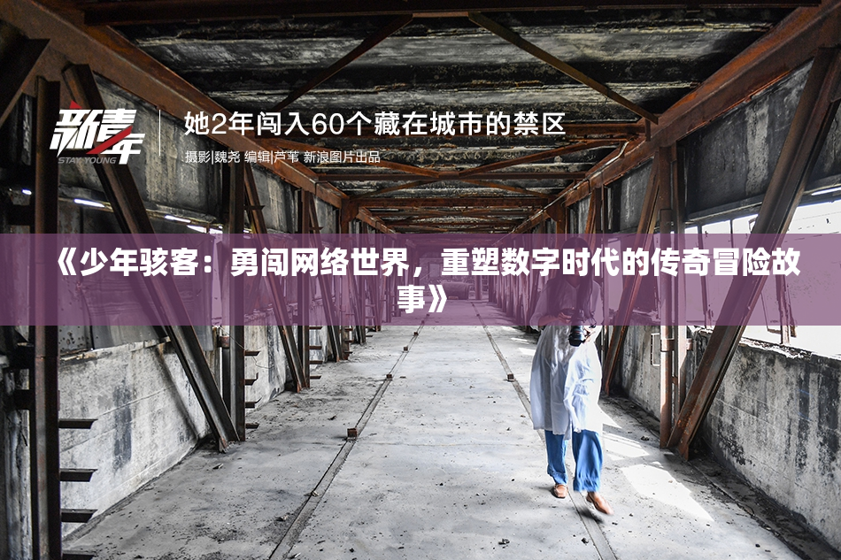 《少年骇客：勇闯网络世界，重塑数字时代的传奇冒险故事》
