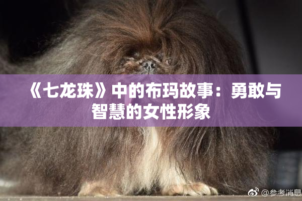 《七龙珠》中的布玛故事：勇敢与智慧的女性形象