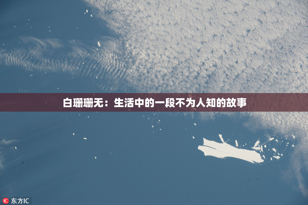 白珊珊无：生活中的一段不为人知的故事