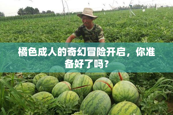 橘色成人的奇幻冒险开启，你准备好了吗？