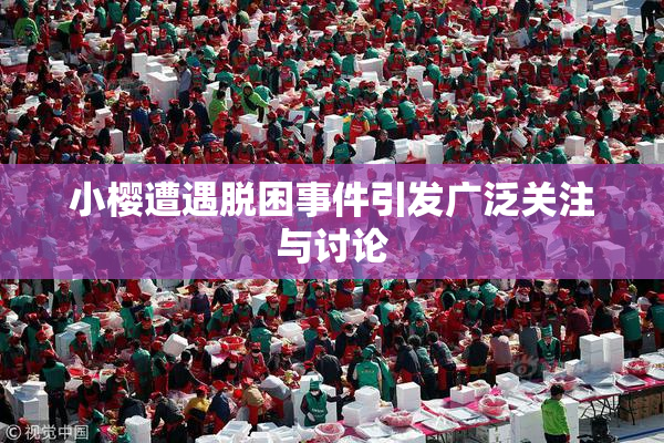小樱遭遇脱困事件引发广泛关注与讨论