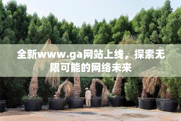 全新www.ga网站上线，探索无限可能的网络未来