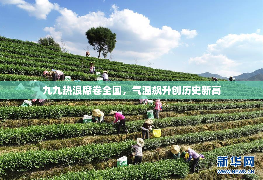 九九热浪席卷全国，气温飙升创历史新高