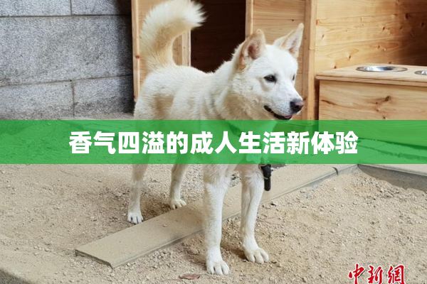 香气四溢的成人生活新体验