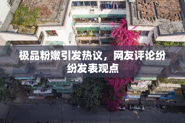 极品粉嫩引发热议，网友评论纷纷发表观点