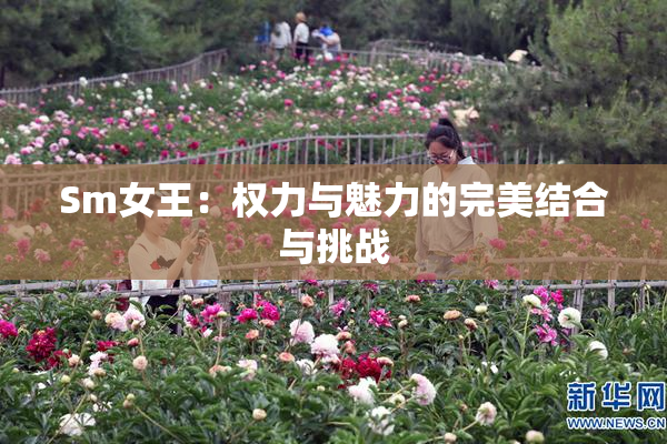 Sm女王：权力与魅力的完美结合与挑战