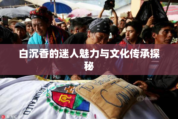 白沉香的迷人魅力与文化传承探秘