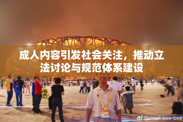 成人内容引发社会关注，推动立法讨论与规范体系建设