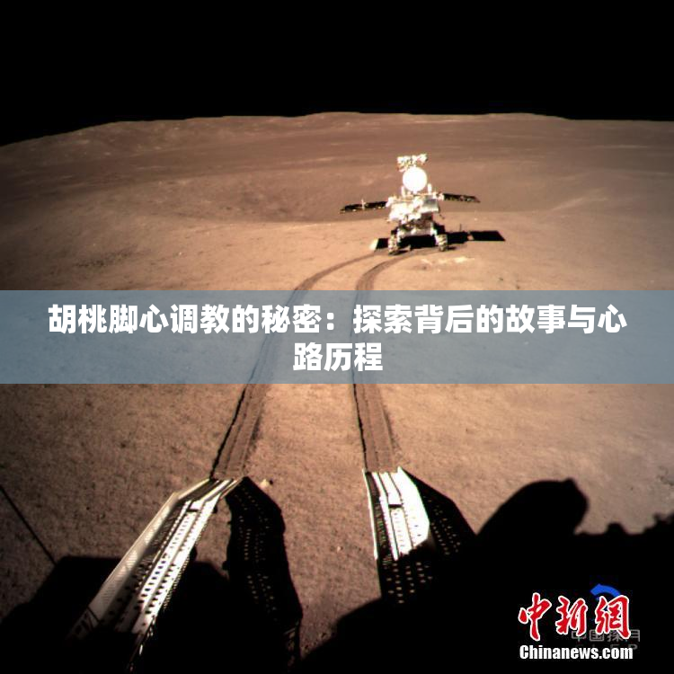 胡桃脚心调教的秘密：探索背后的故事与心路历程