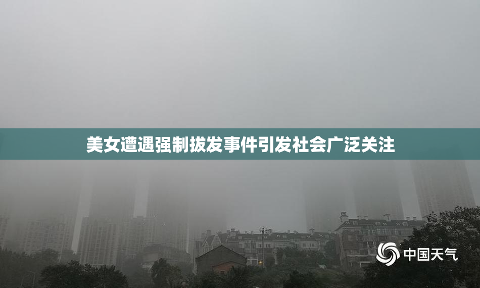 美女遭遇强制拔发事件引发社会广泛关注