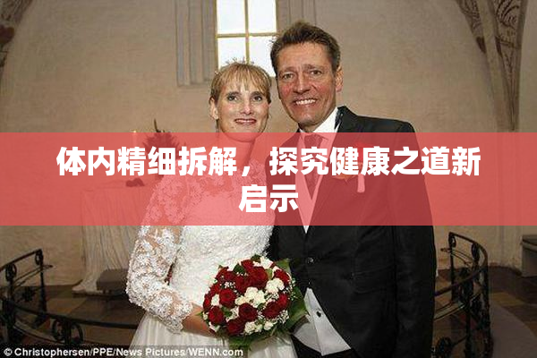 体内精细拆解，探究健康之道新启示
