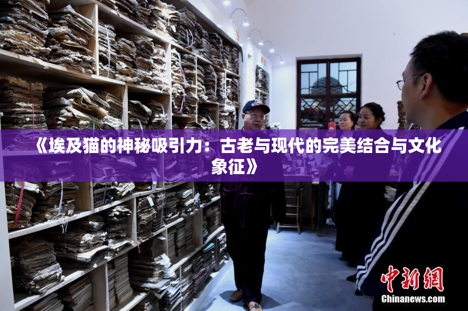 《埃及猫的神秘吸引力：古老与现代的完美结合与文化象征》