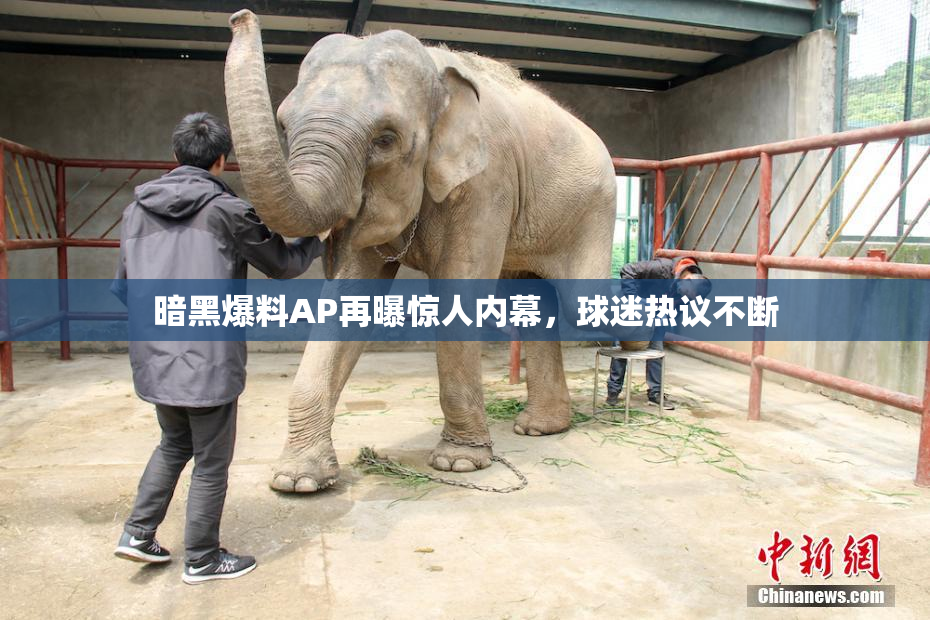 暗黑爆料AP再曝惊人内幕，球迷热议不断