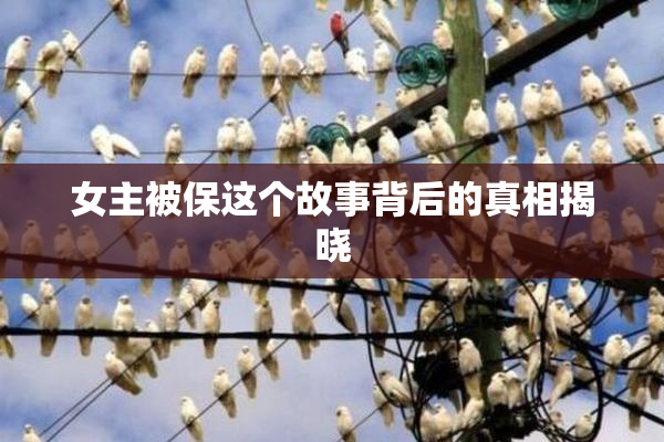女主被保这个故事背后的真相揭晓
