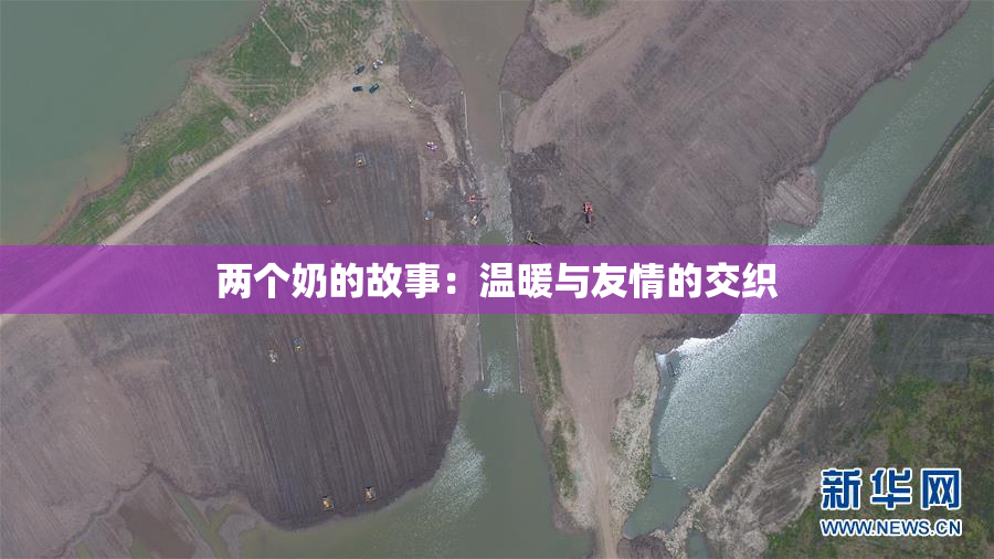 两个奶的故事：温暖与友情的交织