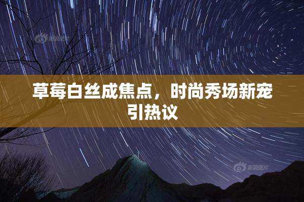 草莓白丝成焦点，时尚秀场新宠引热议