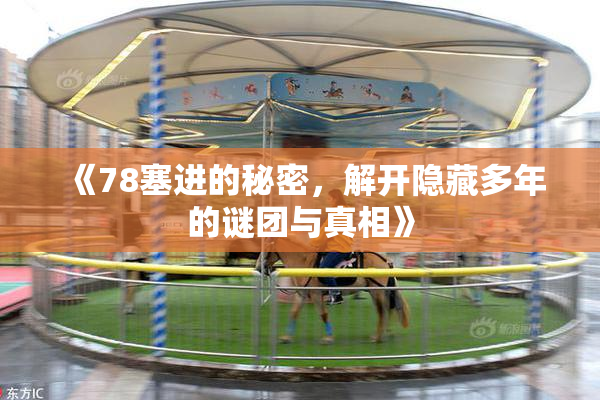 《78塞进的秘密，解开隐藏多年的谜团与真相》