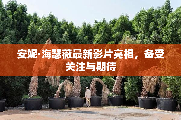安妮·海瑟薇最新影片亮相，备受关注与期待