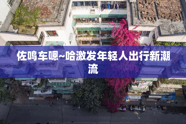 佐鸣车嗯~哈激发年轻人出行新潮流