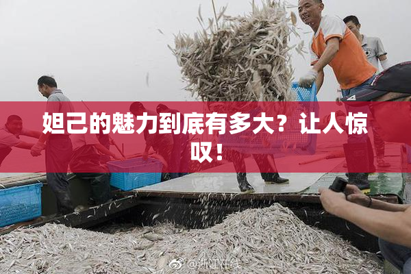 妲己的魅力到底有多大？让人惊叹！