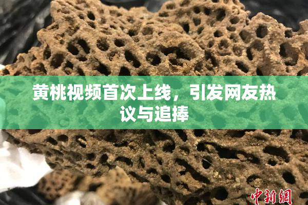 黄桃视频首次上线，引发网友热议与追捧