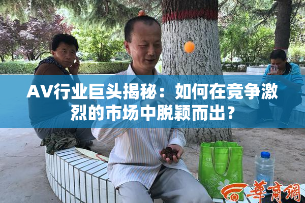 AV行业巨头揭秘：如何在竞争激烈的市场中脱颖而出？