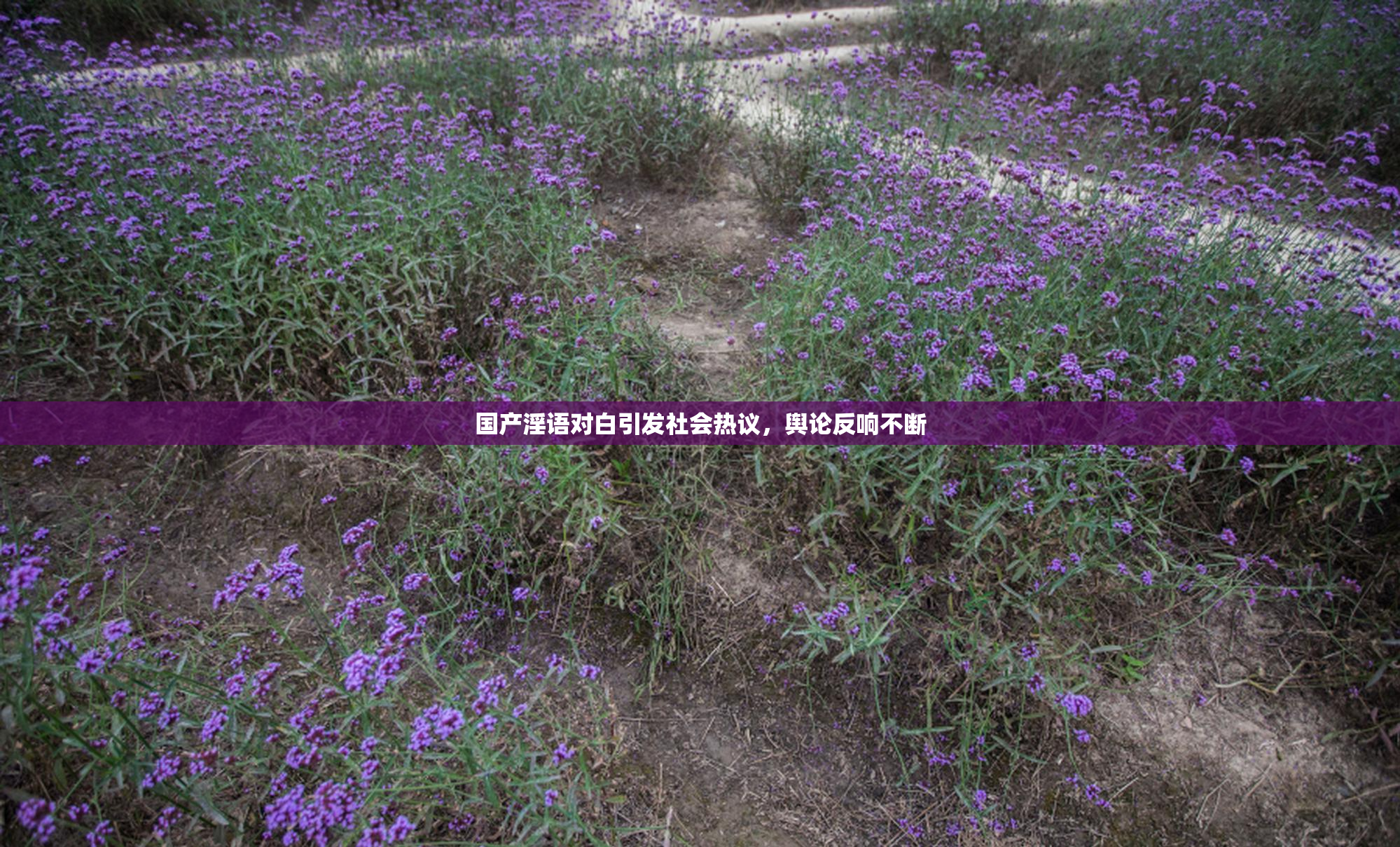 国产淫语对白引发社会热议，舆论反响不断