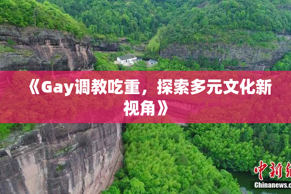 《Gay调教吃重，探索多元文化新视角》