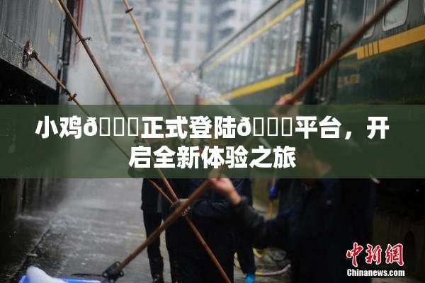 小鸡🐔正式登陆🍑平台，开启全新体验之旅