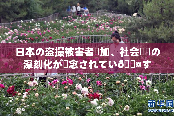 日本の盗撮被害者増加、社会問題の深刻化が懸念されてい🖤す