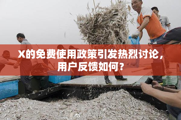 X的免费使用政策引发热烈讨论，用户反馈如何？