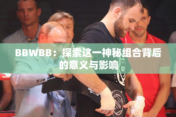 BBWBB：探索这一神秘组合背后的意义与影响