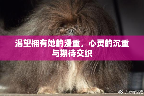 渴望拥有她的漫重，心灵的沉重与期待交织