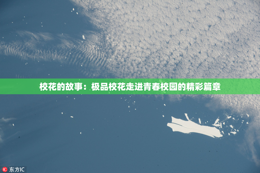 校花的故事：极品校花走进青春校园的精彩篇章
