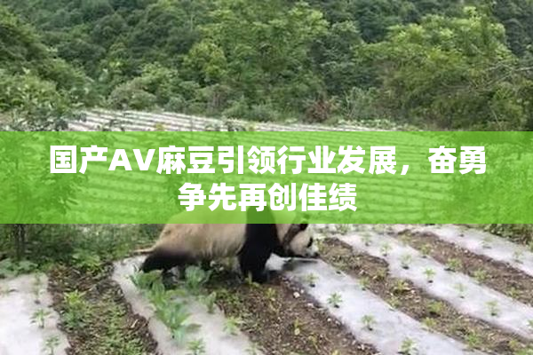 国产AV麻豆引领行业发展，奋勇争先再创佳绩