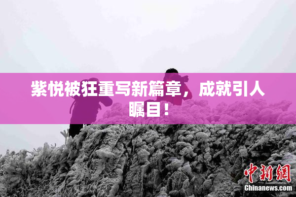 紫悦被狂重写新篇章，成就引人瞩目！