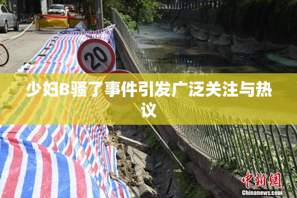 少妇B骚了事件引发广泛关注与热议