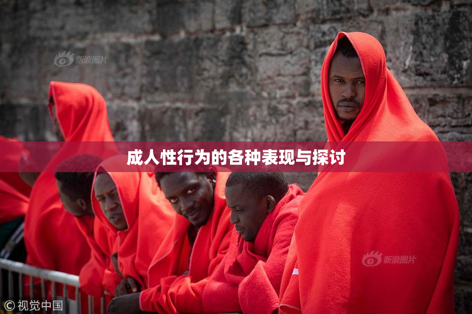 成人性行为的各种表现与探讨