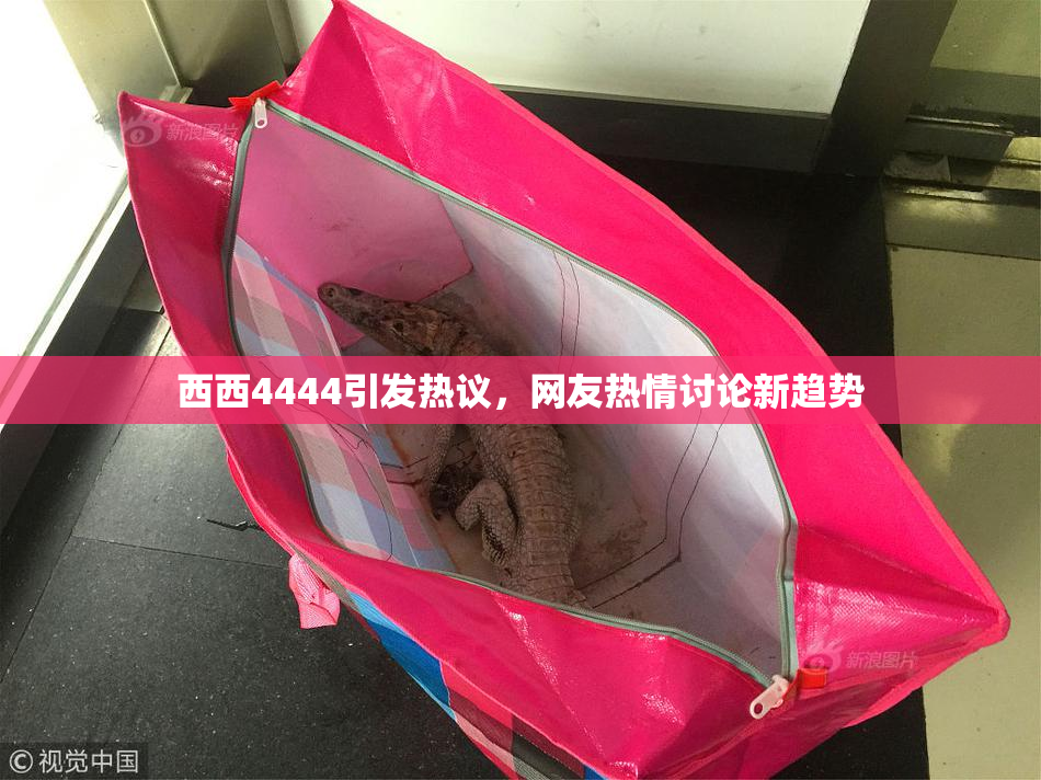 西西4444引发热议，网友热情讨论新趋势