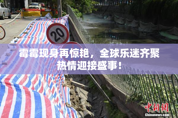 霉霉现身再惊艳，全球乐迷齐聚热情迎接盛事！