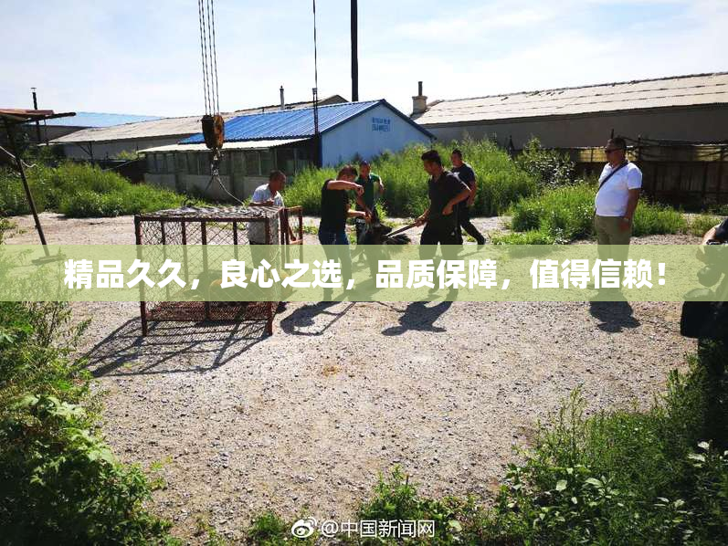 精品久久，良心之选，品质保障，值得信赖！