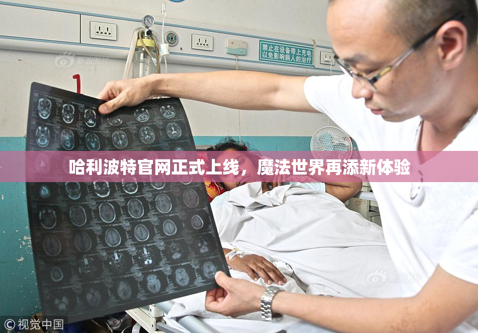 哈利波特官网正式上线，魔法世界再添新体验