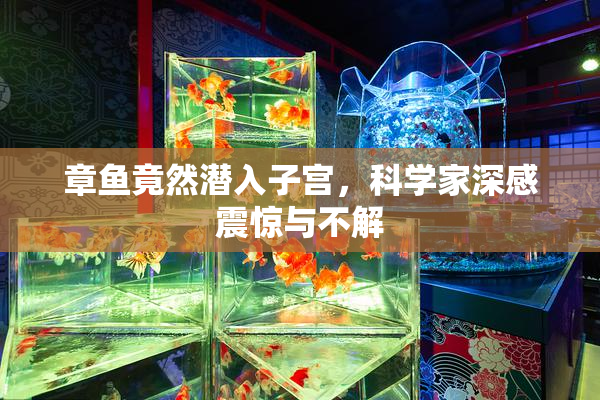 章鱼竟然潜入子宫，科学家深感震惊与不解