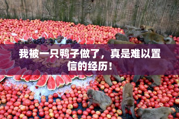 我被一只鸭子做了，真是难以置信的经历！