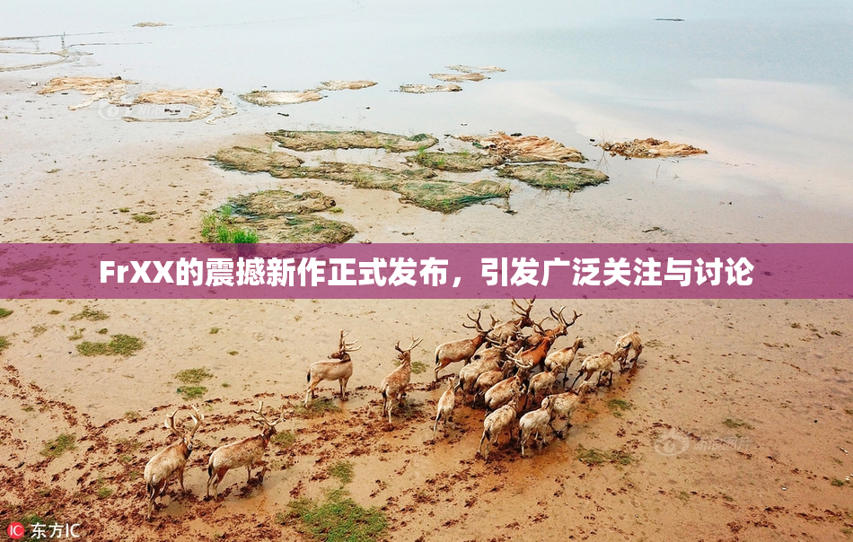 FrXX的震撼新作正式发布，引发广泛关注与讨论